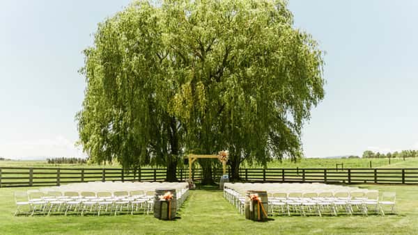 IMG_6765-600x338_c28